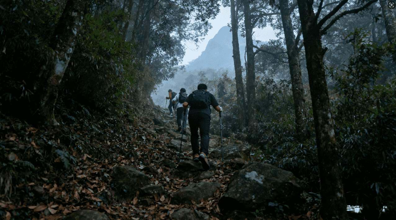 蚂蚁海外加速器破解版免费使用攻略